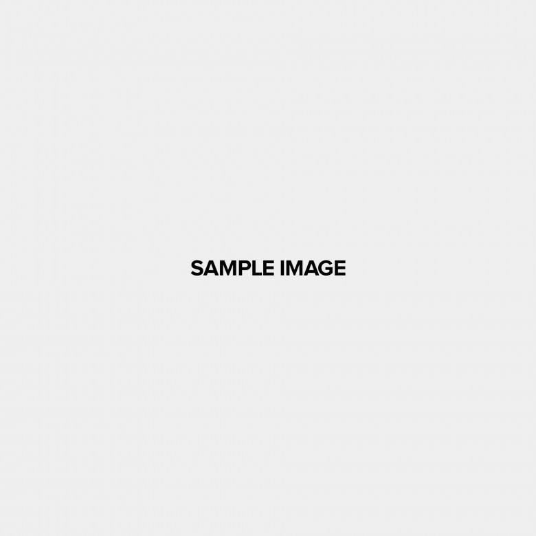 A blank light gray background with centered black text saying 'SAMPLE IMAGE'.